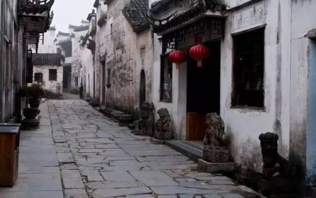 对职场女性而言，早婚早育和晚婚晚育哪个更利于女性的职业生涯发展？游戏画面
